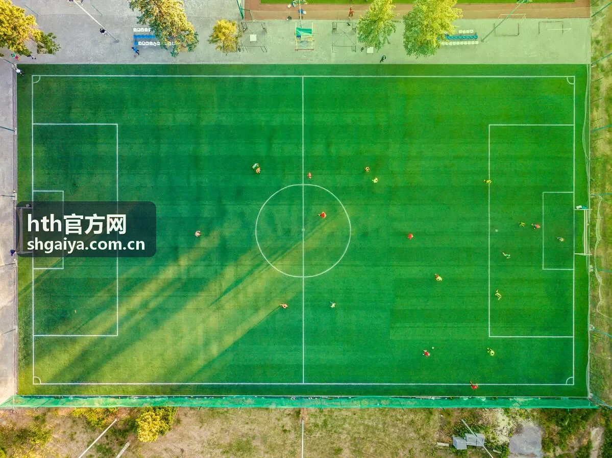 hth官方网官方信息服务平台展示